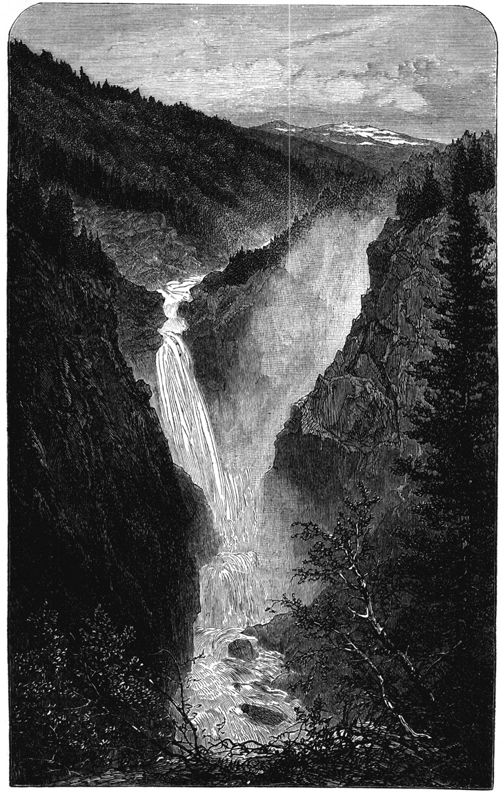 Book illustration