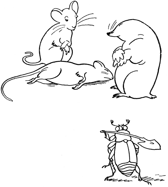 Book illustration