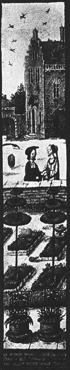 Book illustration