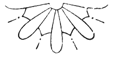 Book illustration