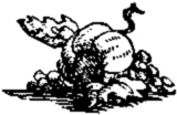 Book illustration