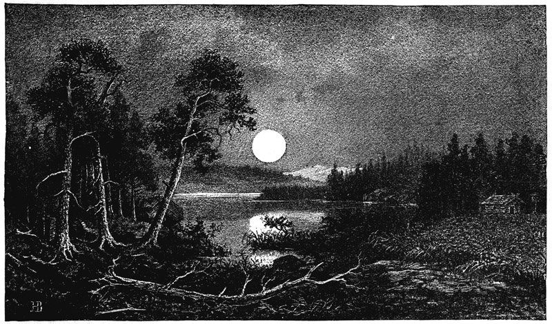 Book illustration