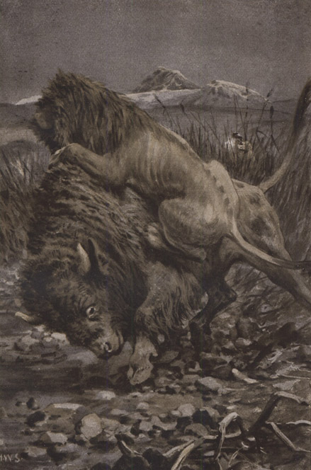 Book illustration