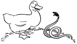 Book illustration