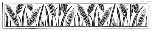 Book illustration