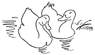 Book illustration