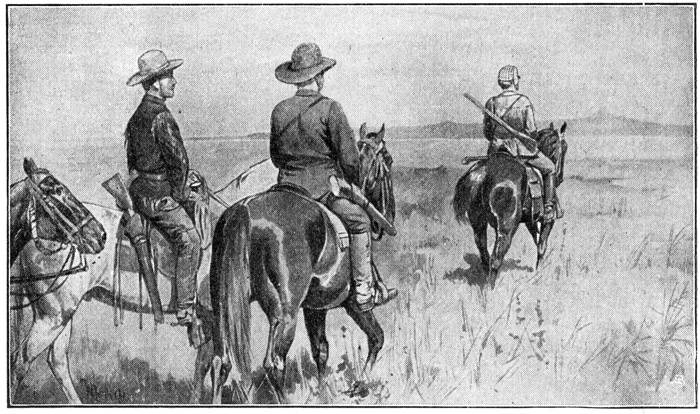 Book illustration
