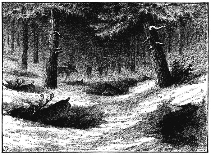 Book illustration
