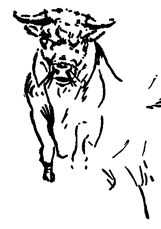Book illustration