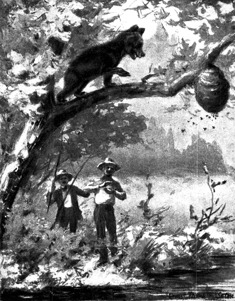 Book illustration