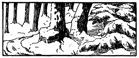Book illustration