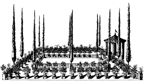 Book illustration