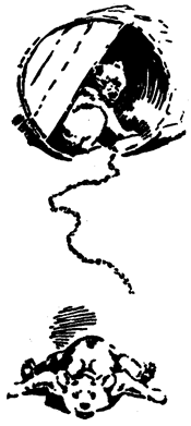 Book illustration