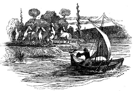 Book illustration