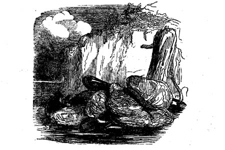 Book illustration