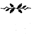 Book illustration