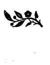 Book illustration