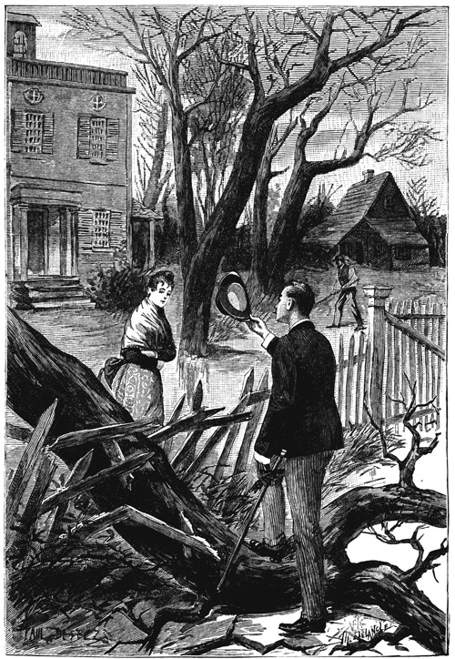 Book illustration