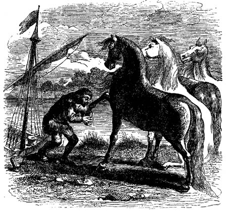 Book illustration