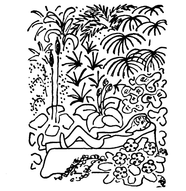Book illustration