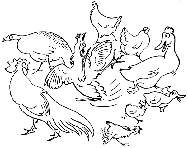 Book illustration