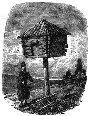 Book illustration