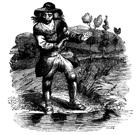 Book illustration