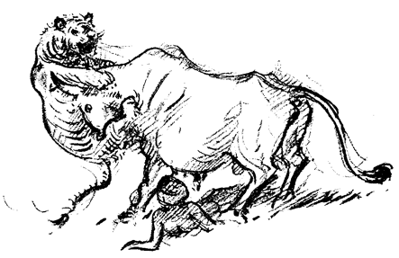 Book illustration