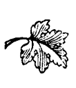 Book illustration