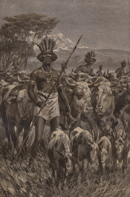 Book illustration