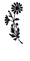 Book illustration