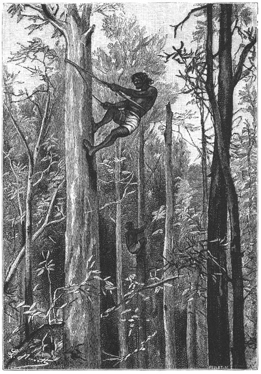 Book illustration