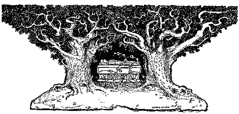 Book illustration