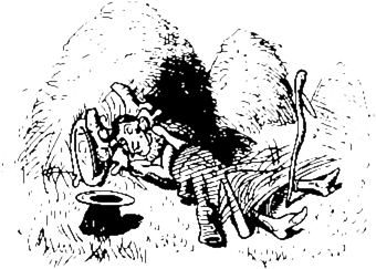 Book illustration