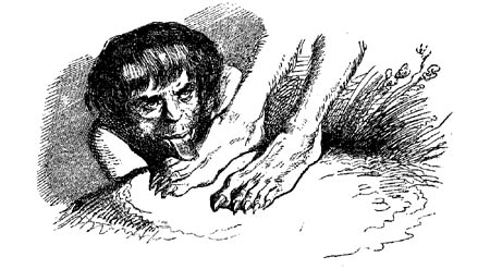 Book illustration