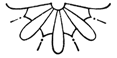 Book illustration