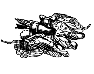 Book illustration