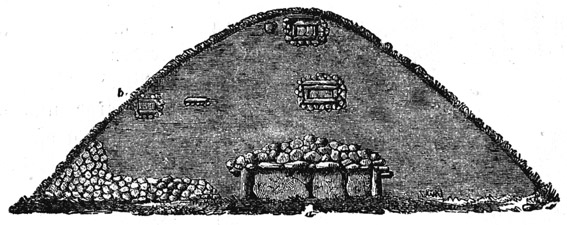 Book illustration