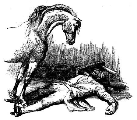 Book illustration