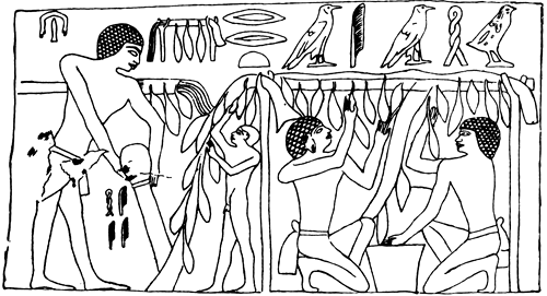 Book illustration