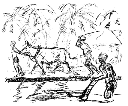 Book illustration