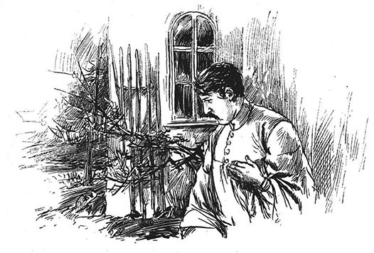 Book illustration