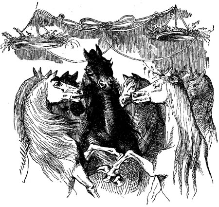 Book illustration