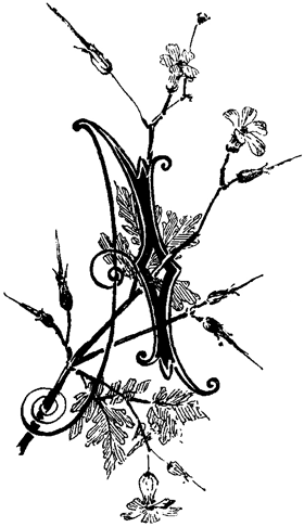 Book illustration