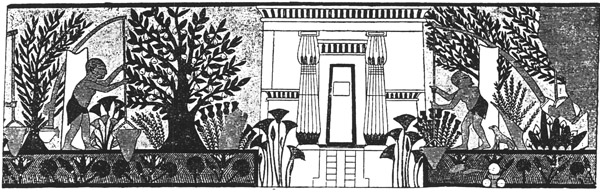 Book illustration