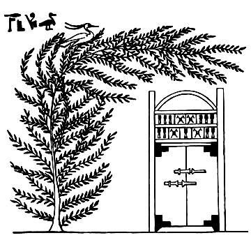 Book illustration