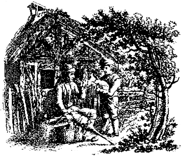 Book illustration